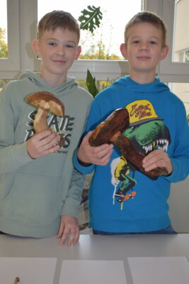 Fotoalbum Herbstfest