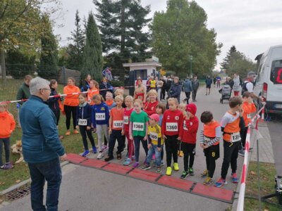Foto des Albums: Schönower Herbstcross