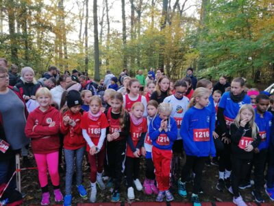 Foto des Albums: Torgelower Herbstcross
