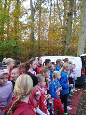Foto des Albums: Torgelower Herbstcross