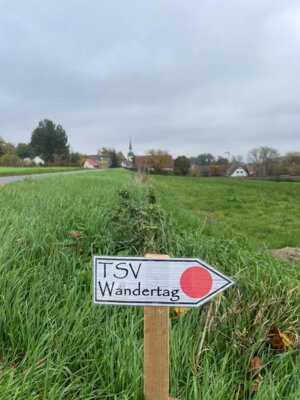 Foto des Albums: TSV Wandertag 2024