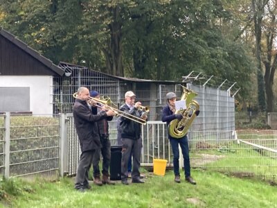 Foto des Albums: St. Martin