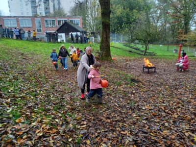 Foto des Albums: St. Martin