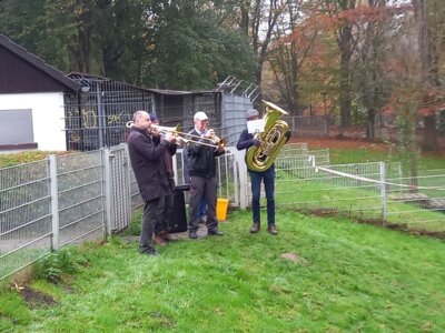Foto des Albums: St. Martin