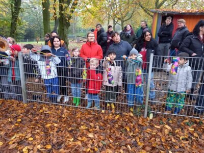 Foto des Albums: St. Martin