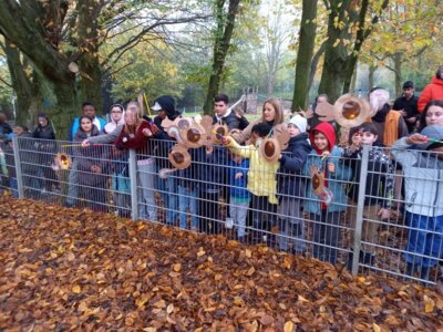 Foto des Albums: St. Martin