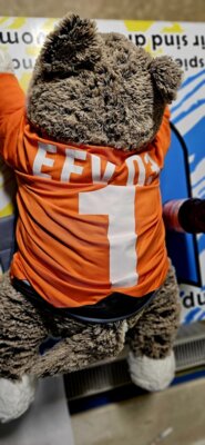 Vorschaubild: D- Junioren (09.11.2024), Kreisliga; EFV 03 Bernstadt/ Dittersbach - SV Königshain 2:0
