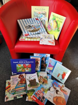 Foto des Albums: Stadtstiftung fördert Plattdeutsch-Kisten für die Samtgemeindebücherei Artland