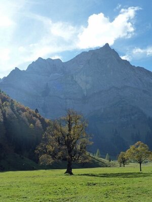 Eng Alm  (Bild vergr&ouml;&szlig;ern)