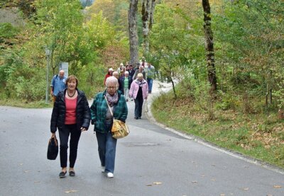 Auf zum Linderhof  (Bild vergr&ouml;&szlig;ern)