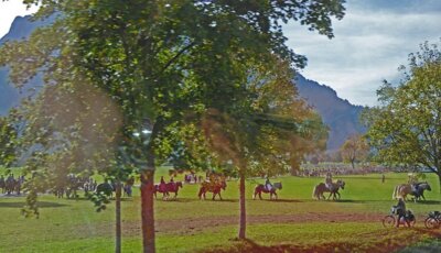 Impressionen R&uuml;ckreise  (Bild vergr&ouml;&szlig;ern)