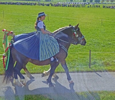 Impressionen R&uuml;ckfahrt  (Bild vergr&ouml;&szlig;ern)