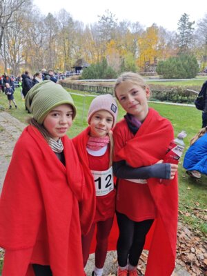 Foto des Albums: LM Cross Berlin