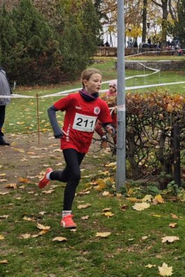 Foto des Albums: LM Cross Berlin