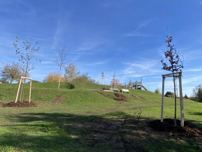 Foto des Albums: Herbstaktionstag 2024