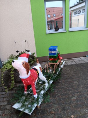 Foto des Albums: Lichterhund braucht Namen
