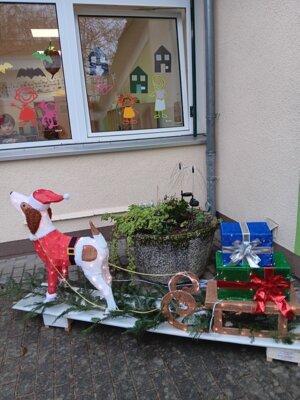Foto des Albums: Lichterhund braucht Namen