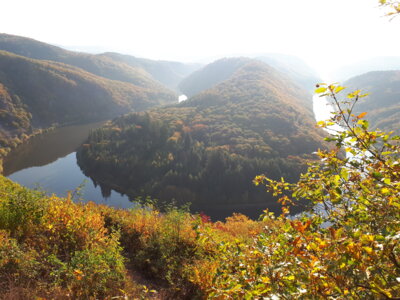 Saarschleife  (Bild vergr&ouml;&szlig;ern)