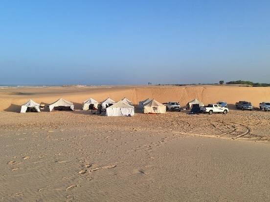 Bild: Zeltcamps in der Sahara