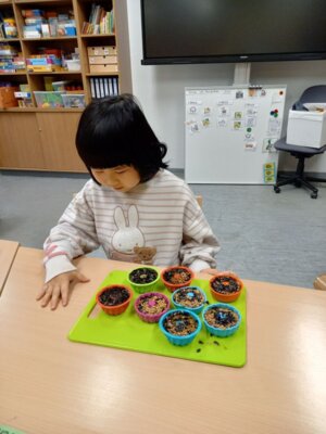 Foto des Albums: Vogelfutterherstellung