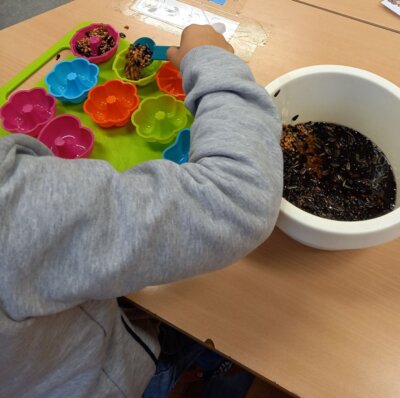 Foto des Albums: Vogelfutterherstellung