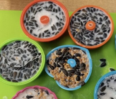 Foto des Albums: Vogelfutterherstellung