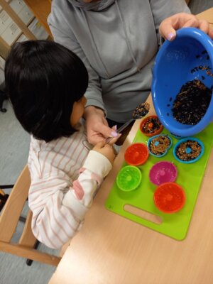 Foto des Albums: Vogelfutterherstellung