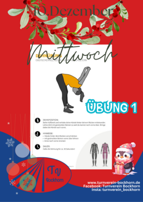 Foto des Albums: 11 Dezember 2024