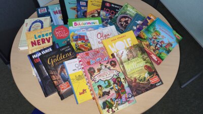 Foto des Albums: Bücherspende der Stiftung Kleine Helden - Kinder brauchen Chancen