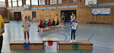 Foto des Albums: Templiner Hallensportfest