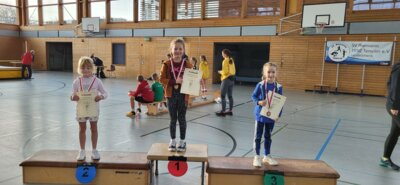 Foto des Albums: Templiner Hallensportfest