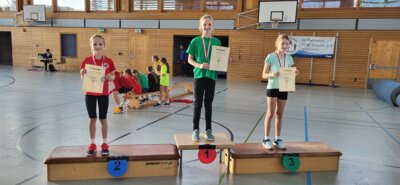 Foto des Albums: Templiner Hallensportfest