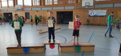 Foto des Albums: Templiner Hallensportfest (07.​12.​2024)