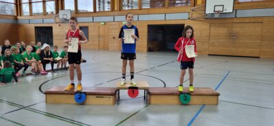 Foto des Albums: Templiner Hallensportfest