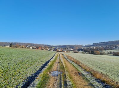 zur&uuml;ck &uuml;ber den "Grund" Richtung "Nast&auml;tter Wies"  (Bild vergr&ouml;&szlig;ern)