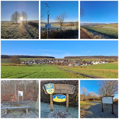 Foto des Albums: 