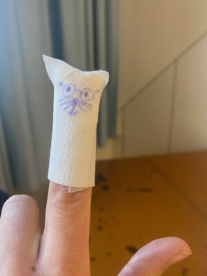 Finger mit Pflaster  (Bild vergr&ouml;&szlig;ern)