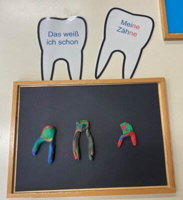 Zahnmodelle aus Knete  (Bild vergr&ouml;&szlig;ern)