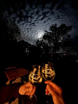 Foto des Albums: Die Weinlaube