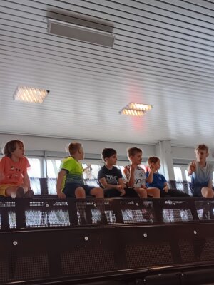 Foto des Albums: BewegungsCHECK MV