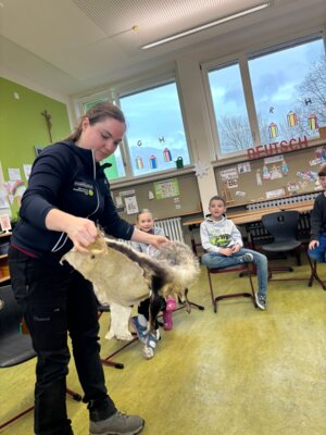 Foto des Albums: Die Klassen 1a und 1b auf den Spuren der Tiere im Winter