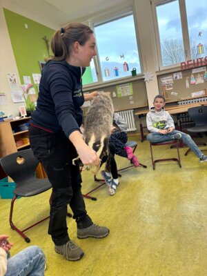 Foto des Albums: Die Klassen 1a und 1b auf den Spuren der Tiere im Winter