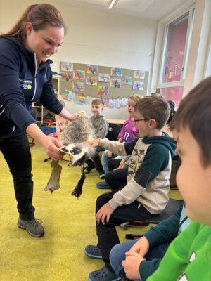 Foto des Albums: Die Klassen 1a und 1b auf den Spuren der Tiere im Winter