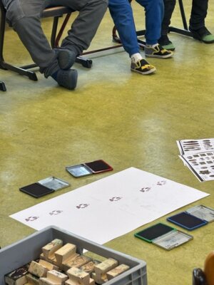 Foto des Albums: Die Klassen 1a und 1b auf den Spuren der Tiere im Winter