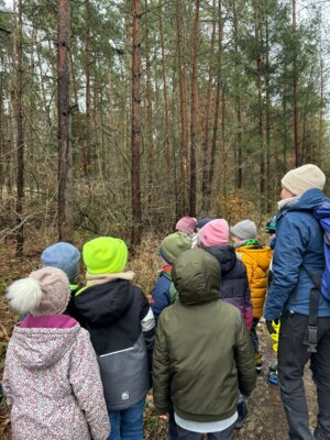 Foto des Albums: Die Klassen 1a und 1b auf den Spuren der Tiere im Winter