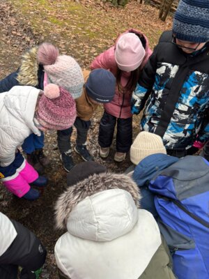 Foto des Albums: Die Klassen 1a und 1b auf den Spuren der Tiere im Winter