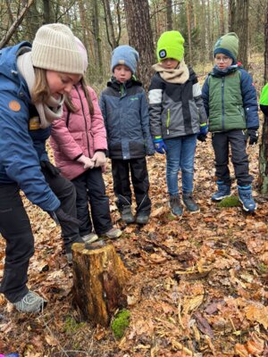Foto des Albums: Die Klassen 1a und 1b auf den Spuren der Tiere im Winter