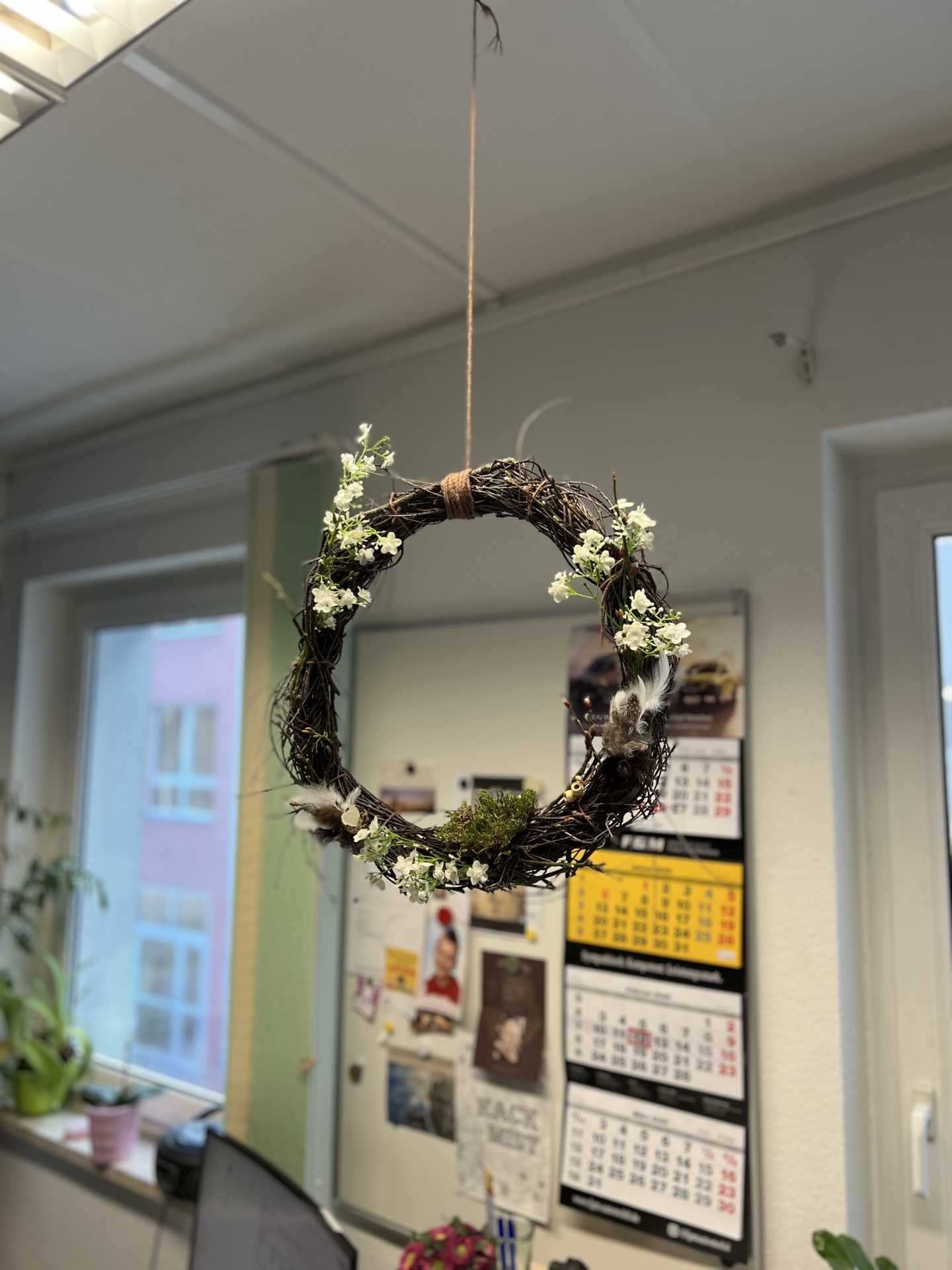 Bild der Galerie