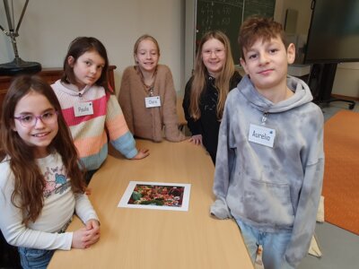Foto des Albums: Projekttage 