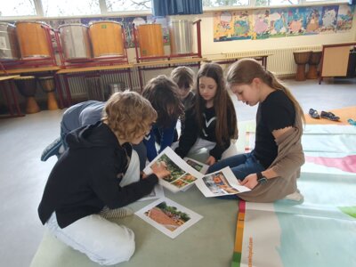 Foto des Albums: Projekttage 